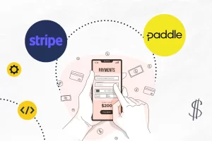 Payment Module Paddle and stripe