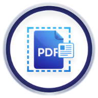 BizSolTech Chrome extension icon